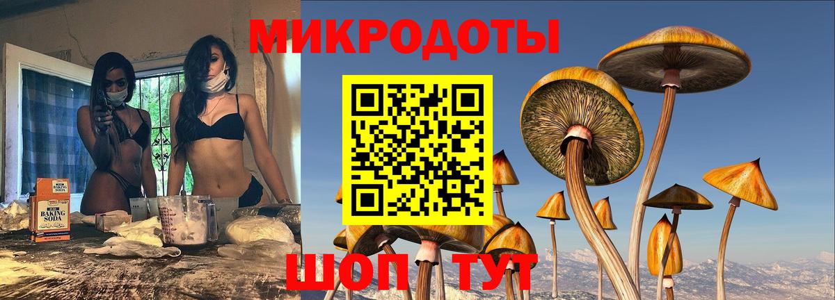 Псилоцибиновые грибы Psilocybine cubensis Малоярославец