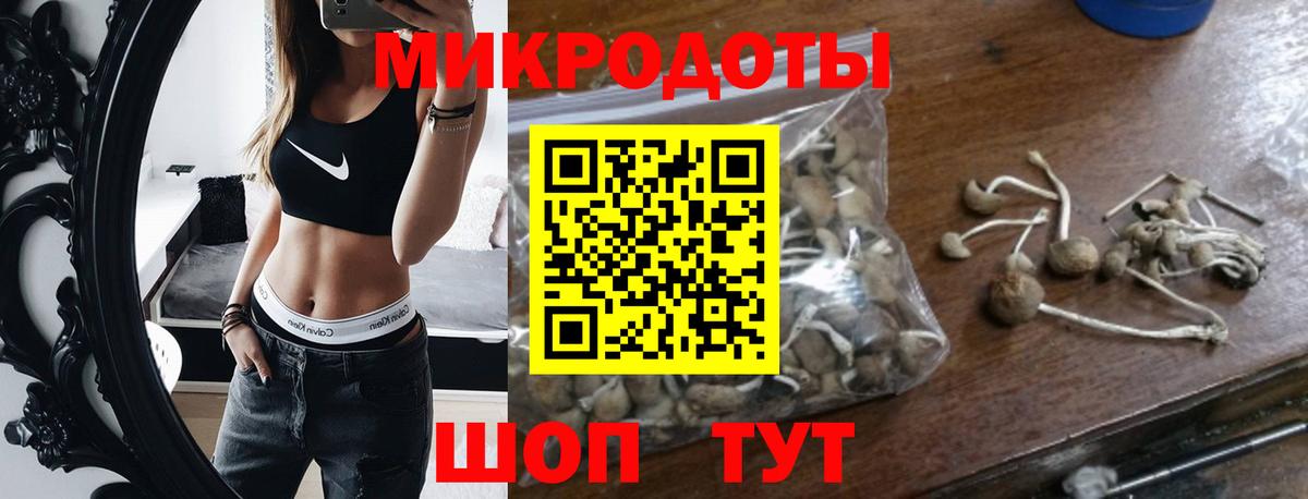 Галлюциногенные грибы MAGIC MUSHROOMS  Вход с VPN  Малоярославец 
